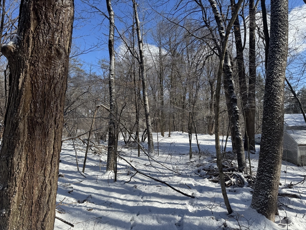 0 Pickett Lane Greenfield, MA 01301 - Photo 4 of 11 a view of outdoor space
