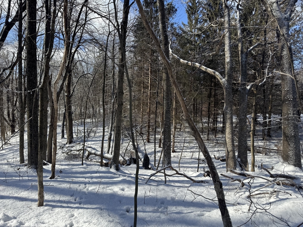 0 Pickett Lane Greenfield, MA 01301 - Photo 5 of 11 a view of a yard with street
