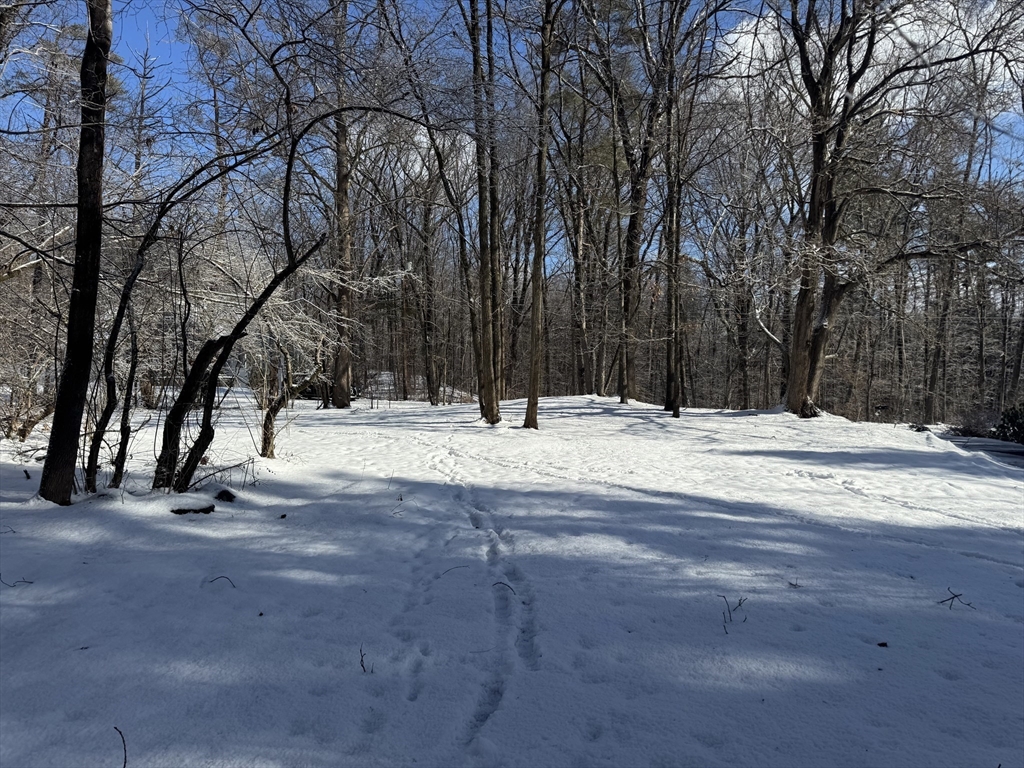 0 Pickett Lane Greenfield, MA 01301 - Photo 8 of 11 a view of house with snow on the road
