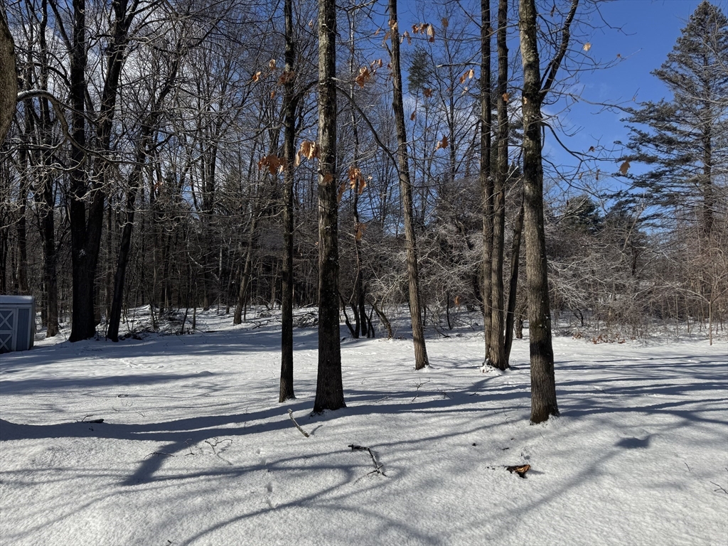 0 Pickett Lane Greenfield, MA 01301 - Photo 9 of 11 a view of park with side of a road
