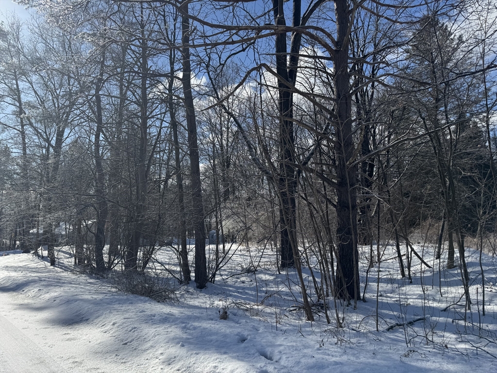 0 Pickett Lane Greenfield, MA 01301 - Photo 10 of 11 a view of outdoor space with lots of trees
