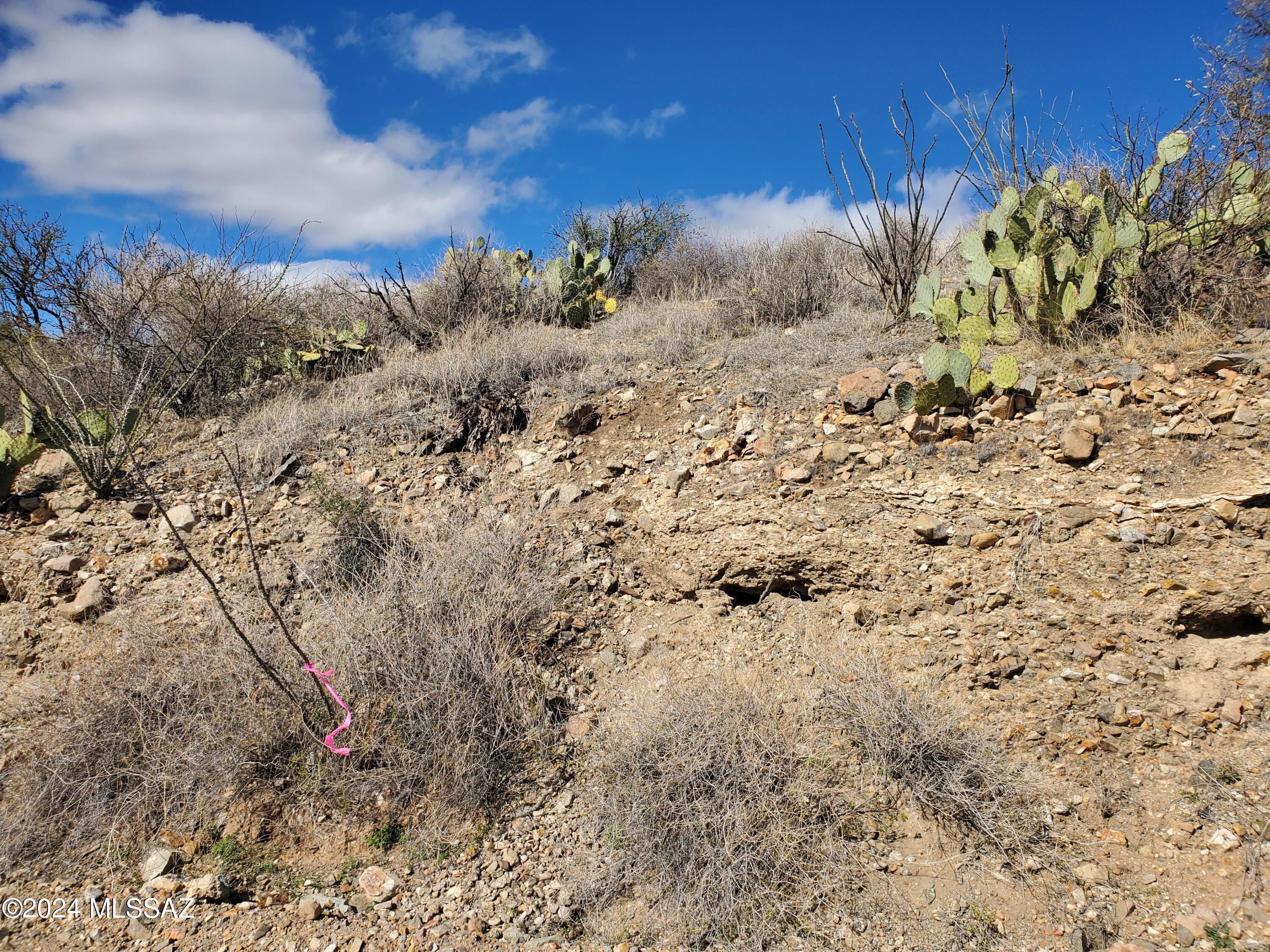 320 Circulo Chica, Unit 53 Rio Rico, AZ 85648 - Photo 9 of 9