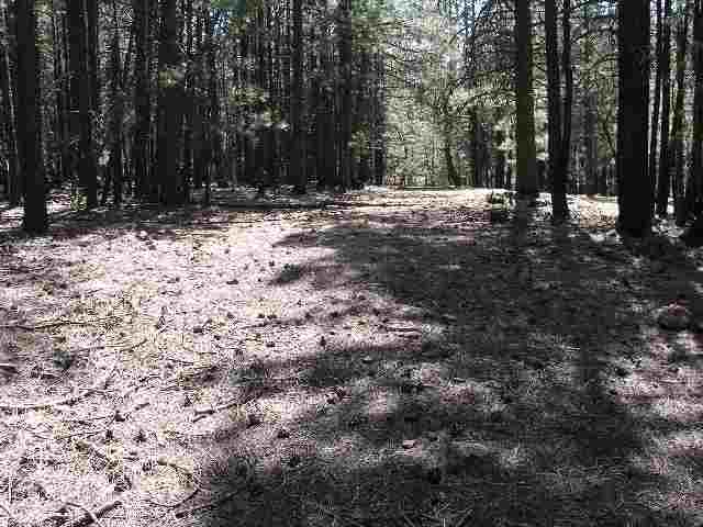 784 Larson Loop Forest Lakes, AZ 85931 - Photo 3 of 5