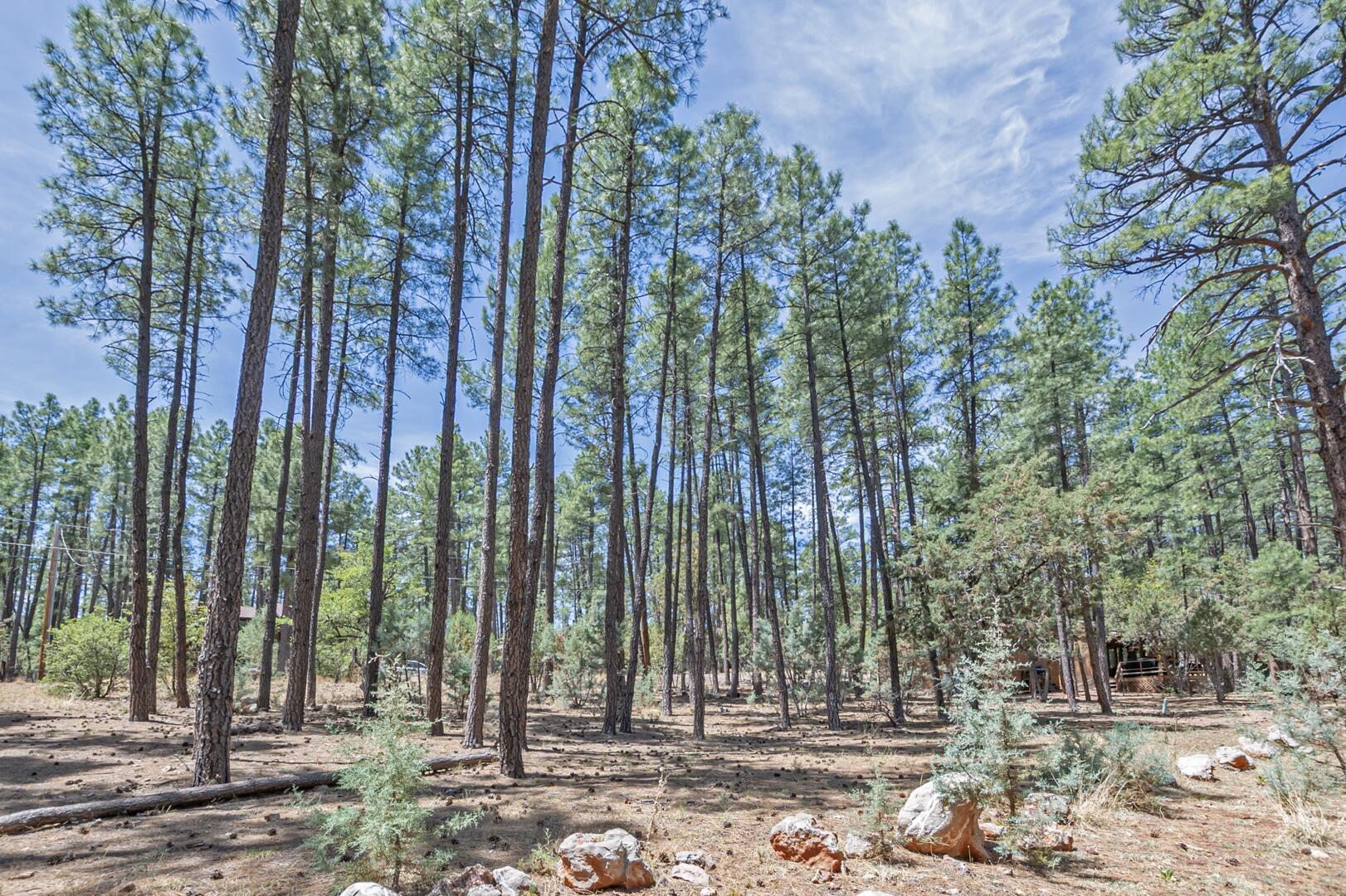 Lot 138 Marcy Way Pine, AZ 85544 - Photo 2 of 6