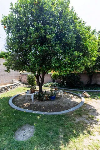 a view of a flower in a garden