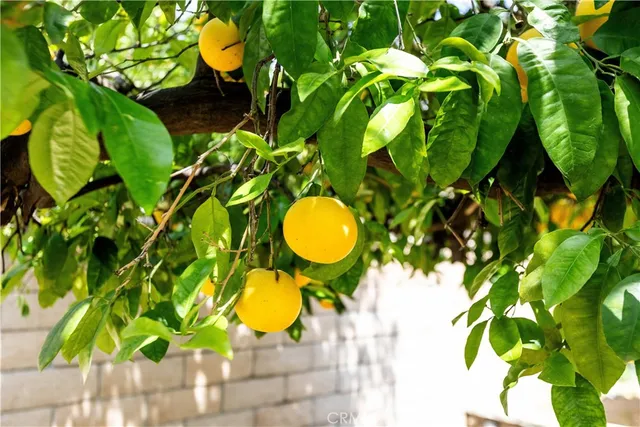 $599,999 | 3915 Dwight Way North, San Bernardino, CA 92404