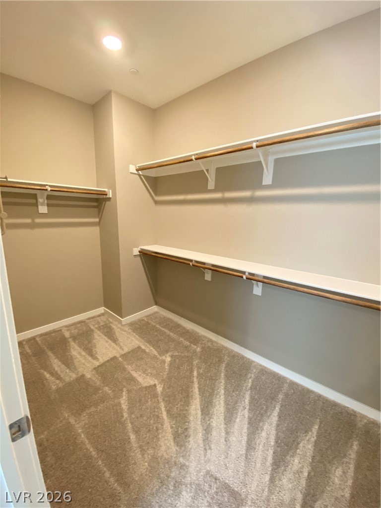 695 Daylight Ridge Court Henderson, NV 89052 - Photo 22 of 27 Walk in closet featuring light carpet