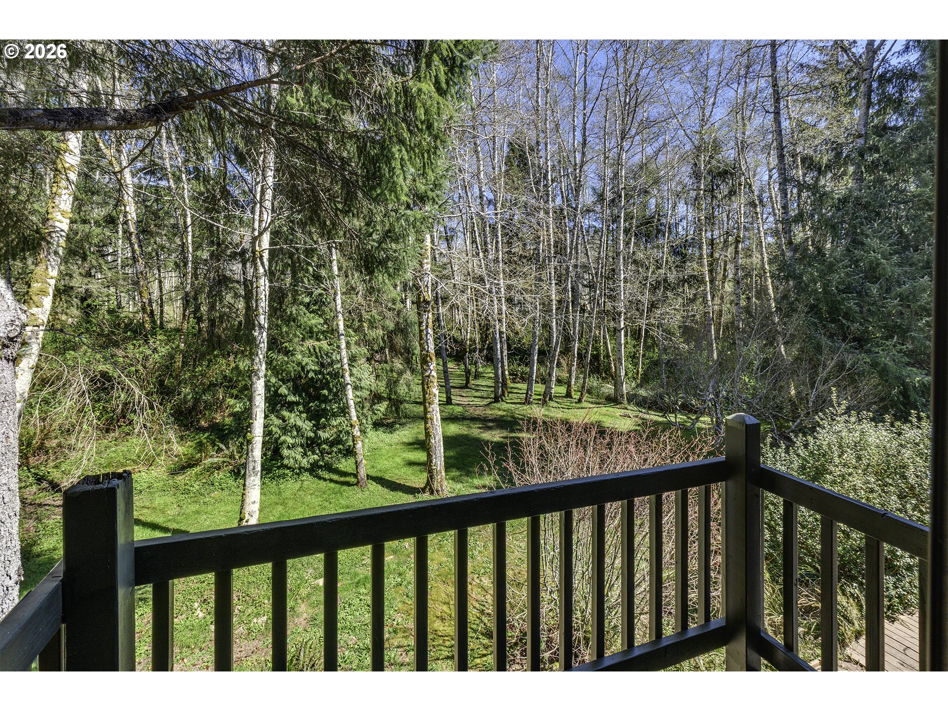 34049 West Campbell Loop Seaside, OR 97138 - Photo 26 of 48 a view of a green forest