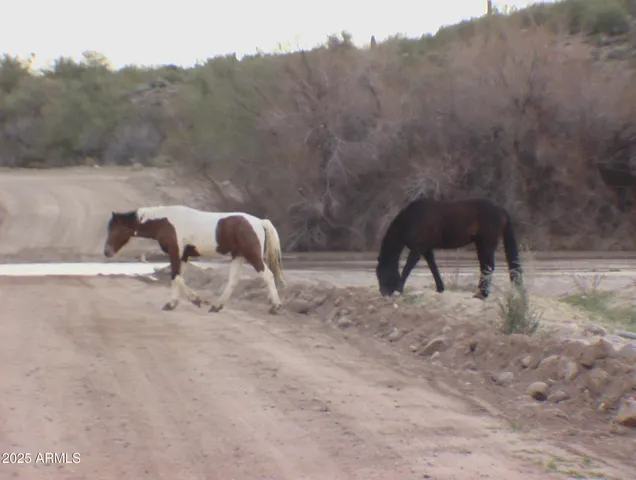 $100,000 | 236241 South Signal Road, Yucca, AZ 86438