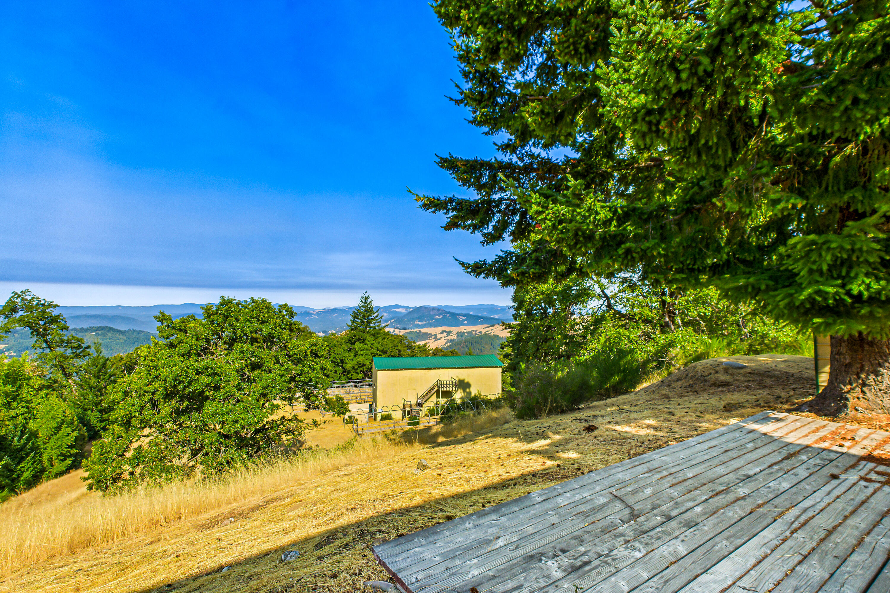 26092 Dyerville Loop Road Garberville, CA 95542 - Photo 56 of 74