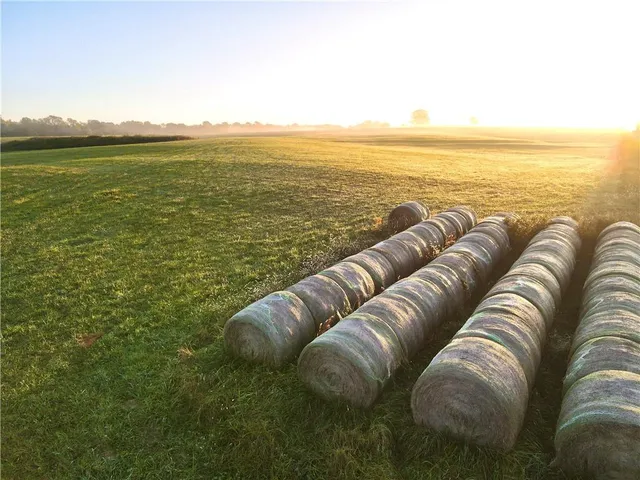 $1,900,000 | 604 North Buckner Tarsney Road, Buckner, MO 64016