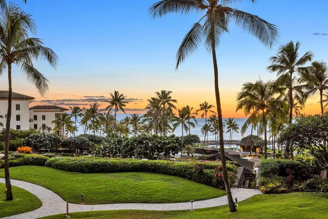 a view of a yard with a palm tree