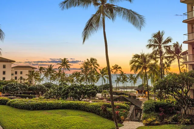a view of a water fountain and palm trees