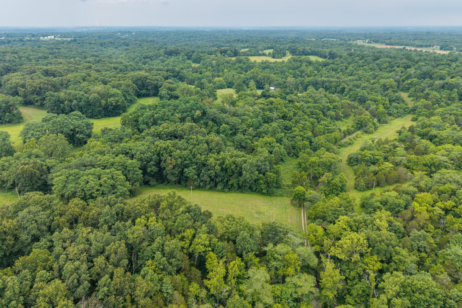 11315 Harlow Road West Bennington, IN 47011 - Photo 33 of 50