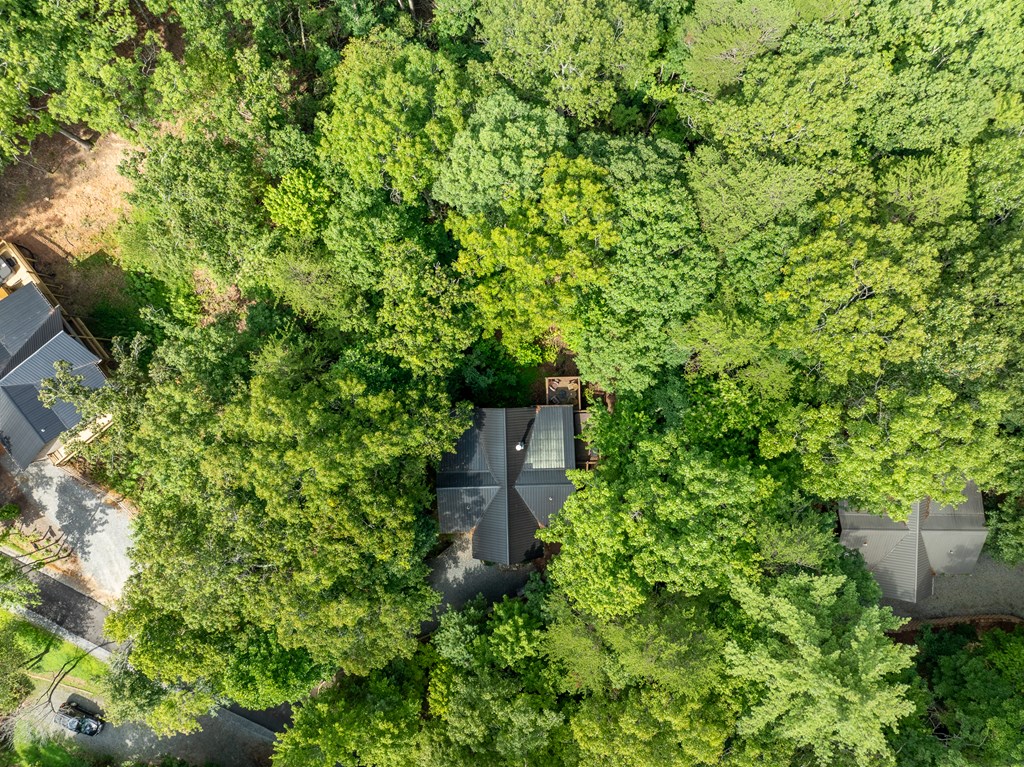 107 Little Bushy Head Road Blue Ridge, GA 30513 - Photo 42 of 43 Gallery Image 42