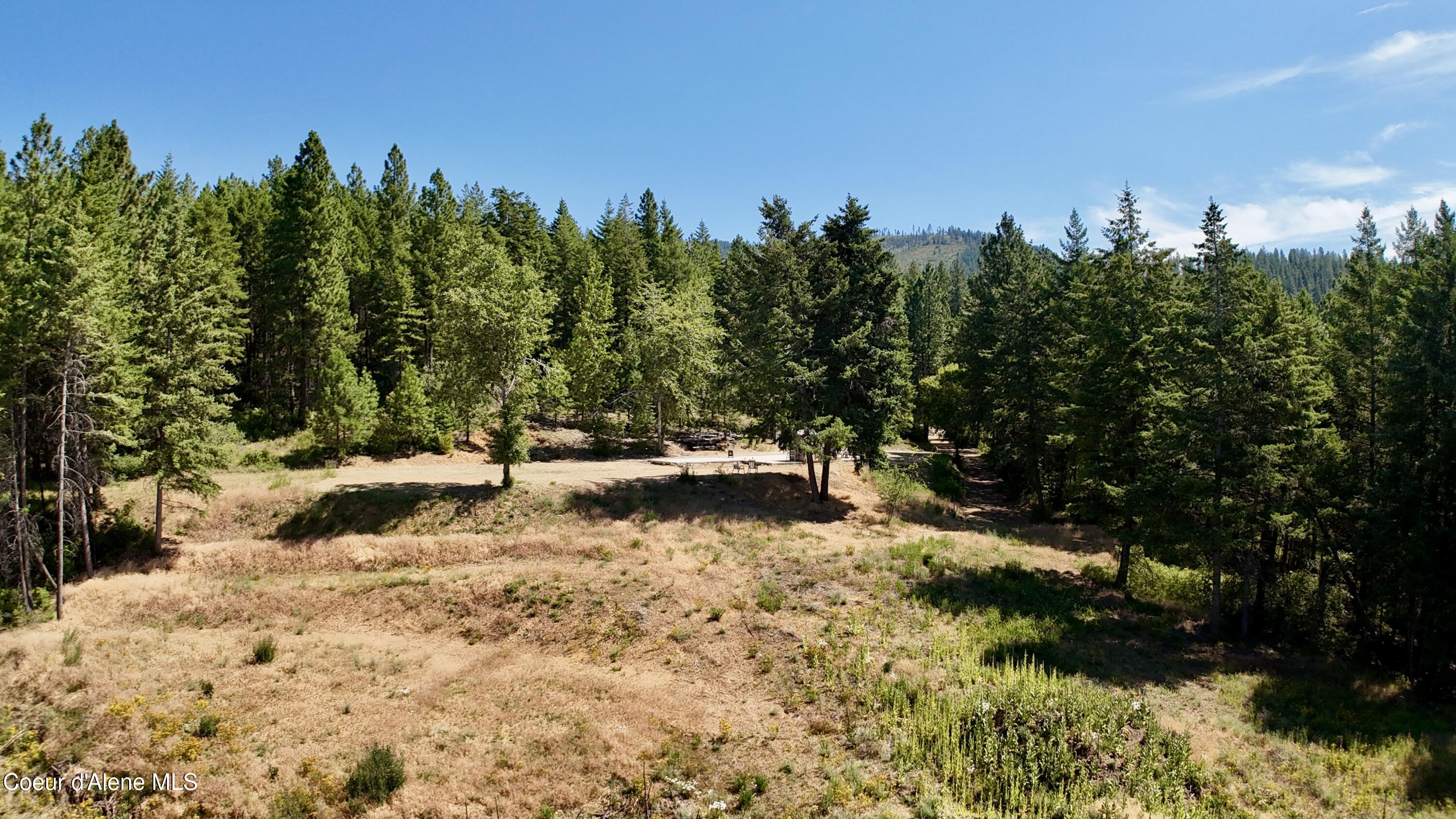 1710 Tower Mountain Road Blanchard, ID 83804 - Photo 14 of 44 14