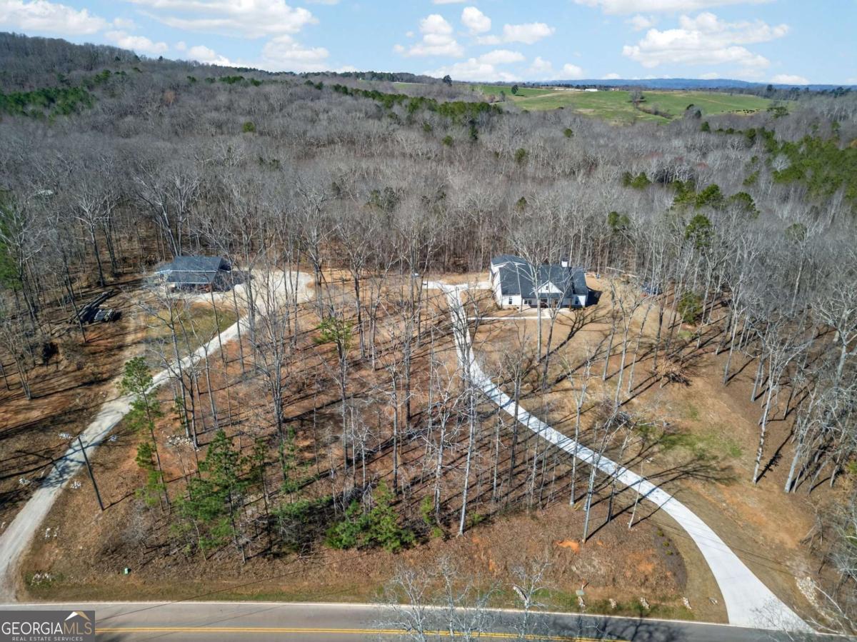433 Old Roanoke Road Bowdon, GA 30108 - Photo 1 of 1 a view of a backyard of a house