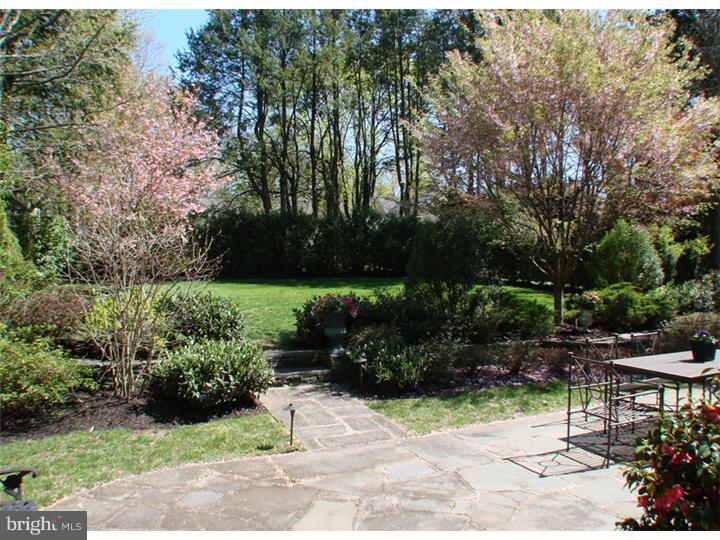 305 Locust Road Fort Washington, PA 19034 - Photo 7 of 9 Back Yard