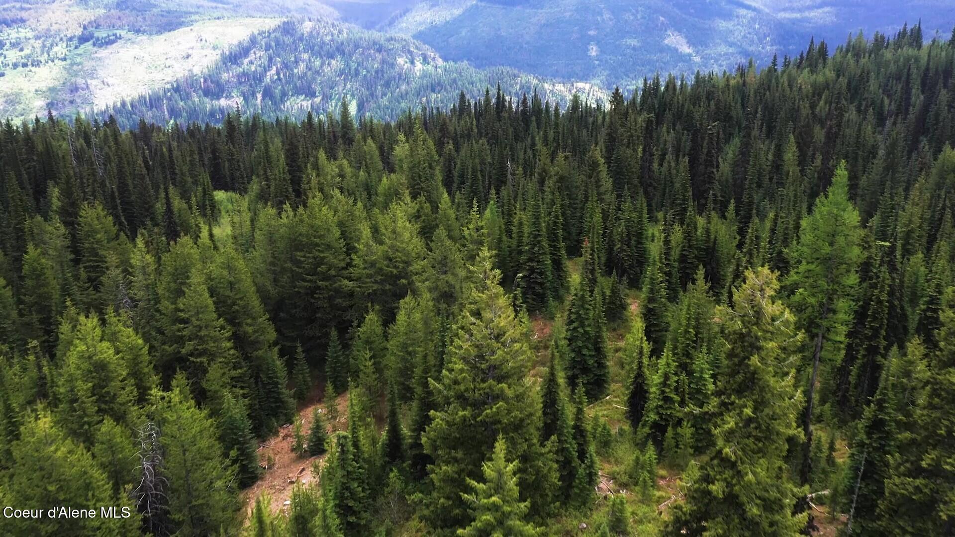 Nw 80-ac Northwest 80-ac Pack Creek Road Kooskia, ID 83539 - Photo 11 of 14 Video Pic 4