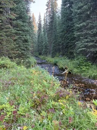 $525,000 | Nw 80-ac Northwest 80-ac Pack Creek Road, Kooskia, ID 83539