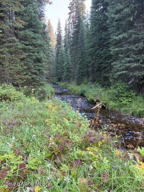 Nw 80-ac Northwest 80-ac Pack Creek Road Kooskia, ID 83539 - Photo 3 of 14 Pack Cr 80 Creek 1