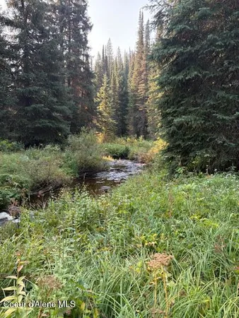 $525,000 | Nw 80-ac Northwest 80-ac Pack Creek Road, Kooskia, ID 83539