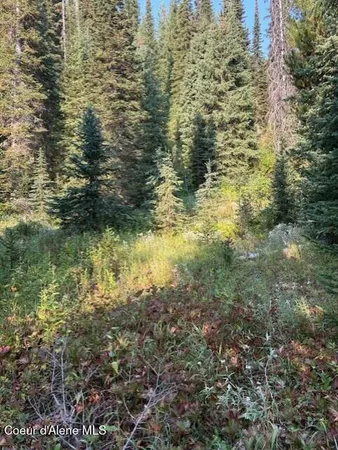 $525,000 | Nw 80-ac Northwest 80-ac Pack Creek Road, Kooskia, ID 83539