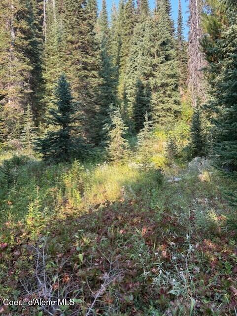 Nw 80-ac Northwest 80-ac Pack Creek Road Kooskia, ID 83539 - Photo 5 of 14 Pack Cr 80 Creek 3