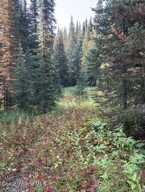 Nw 80-ac Northwest 80-ac Pack Creek Road Kooskia, ID 83539 - Photo 6 of 14 Pack Cr 80 Creek 4