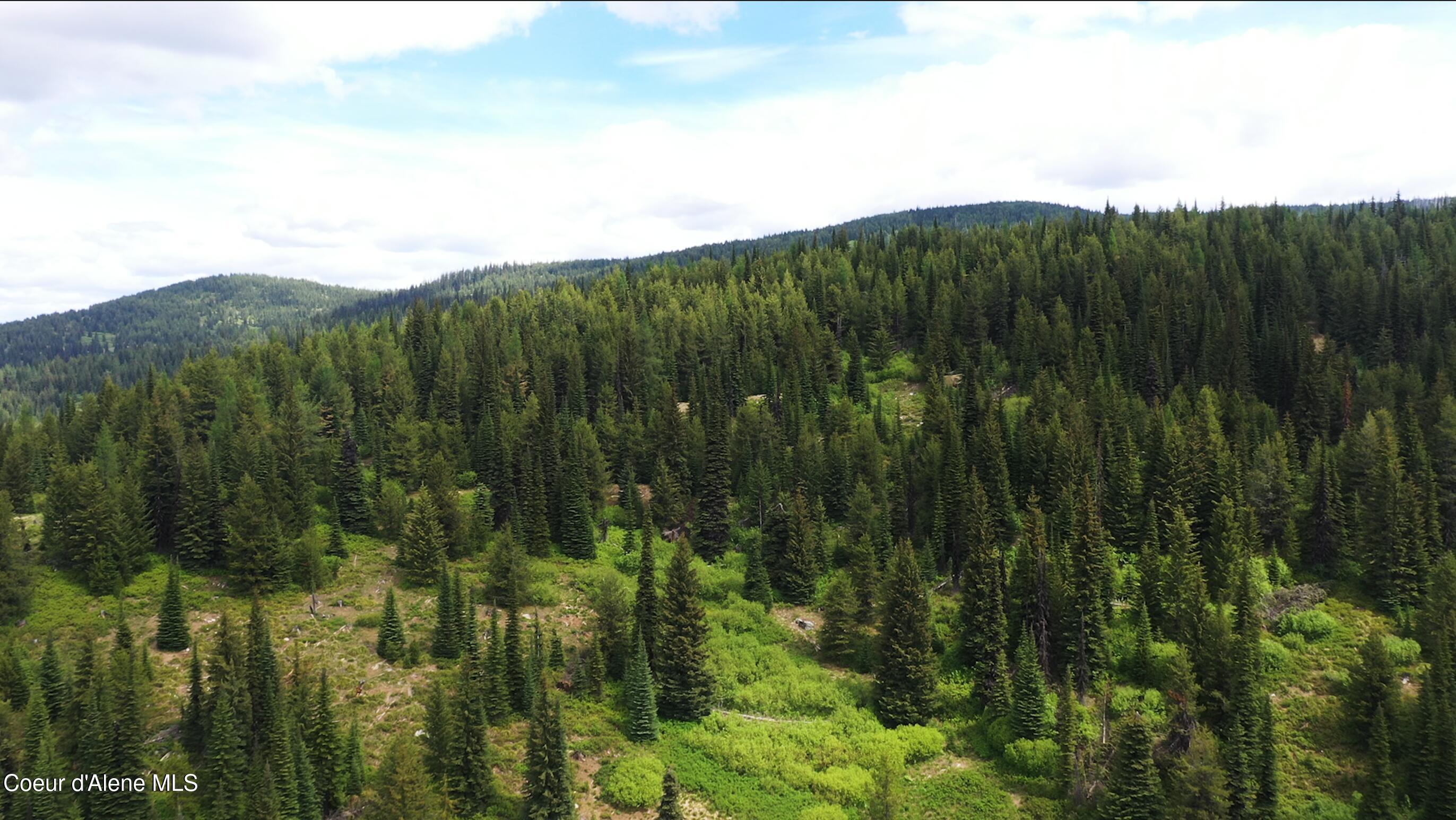 Nw 80-ac Northwest 80-ac Pack Creek Road Kooskia, ID 83539 - Photo 7 of 14 12ECF7CA-8B8F-42E4-A6C0-5B5D5B267227
