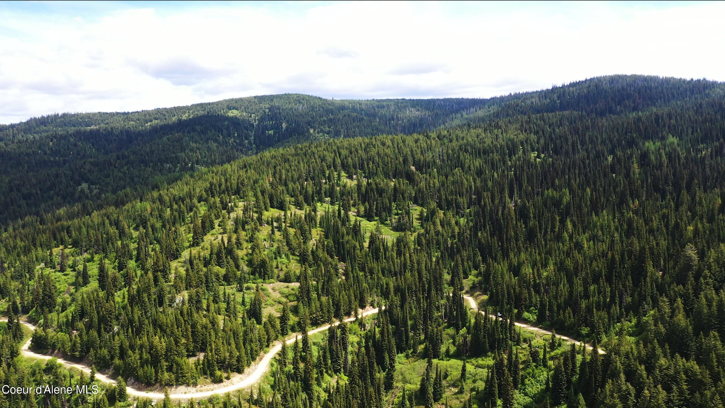 Nw 80-ac Northwest 80-ac Pack Creek Road Kooskia, ID 83539 - Photo 8 of 14 8A718F30-6A65-4458-801C-00B1919E3BA8