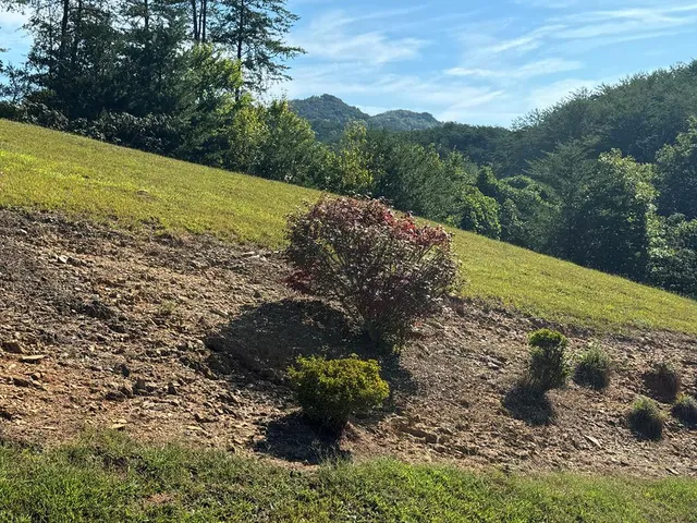 a big yard with lots of green space