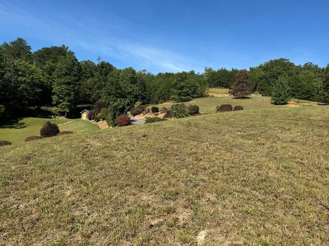 a view of a yard with a tree