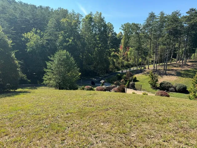 a view of a lake with a yard