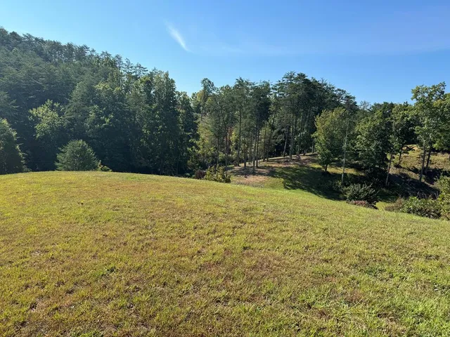 a view of an outdoor space and swimming pool