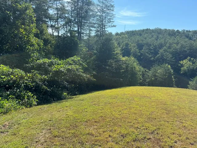 a view of outdoor space and yard