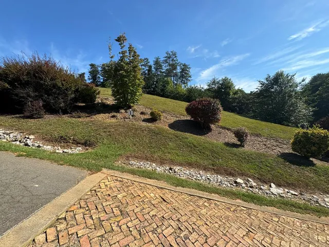 a view of a backyard with a garden