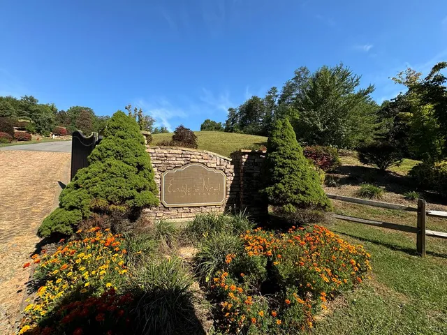 a view of a garden with lawn chairs