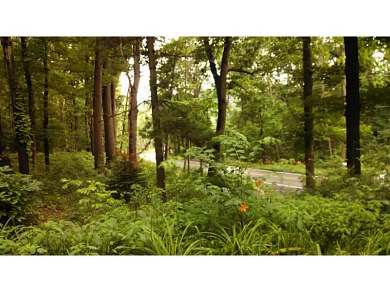 1485 Freeport Road Mars, PA 16046 - Photo 13 of 15 Yard/Garden.