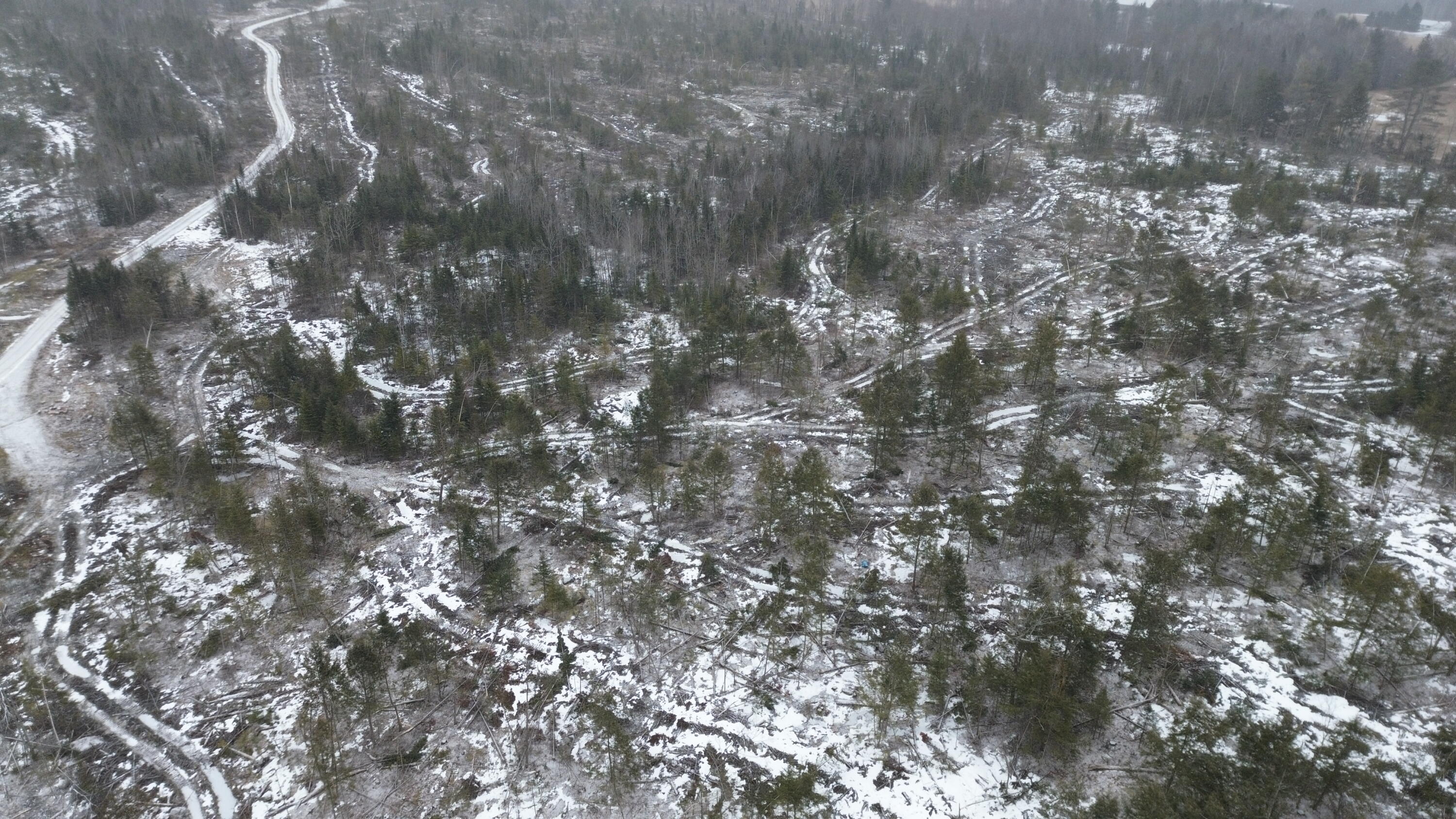 Lot 11 Parker Pond Road Sebec, ME 04481 - Photo 6 of 17 DJI_0440