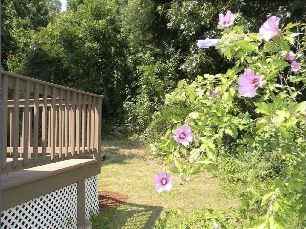 105 Senna Road Fitchburg, MA 01420 - Photo 10 of 23 Gallery Image 10