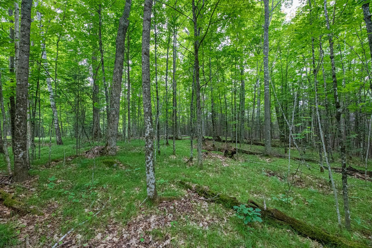 1-4 East Anvil Lake Road Eagle River, WI 54521 - Photo 25 of 39 Gallery Image 25