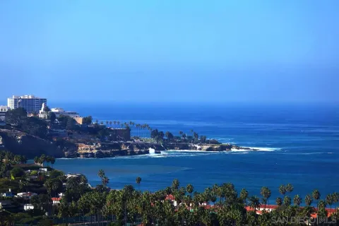 a dining room with furniture a floor to ceiling window and potted plants