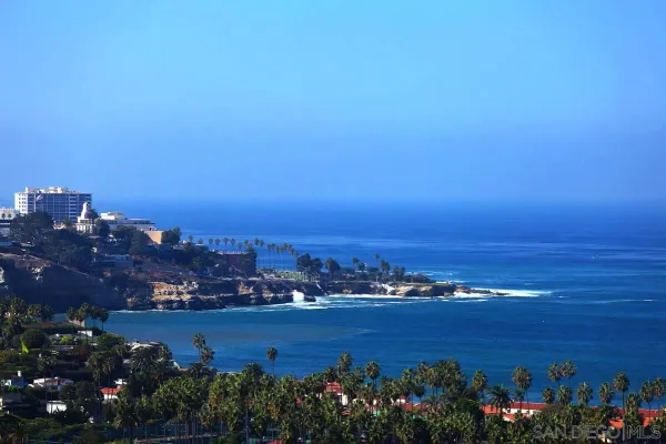a dining room with furniture a floor to ceiling window and potted plants