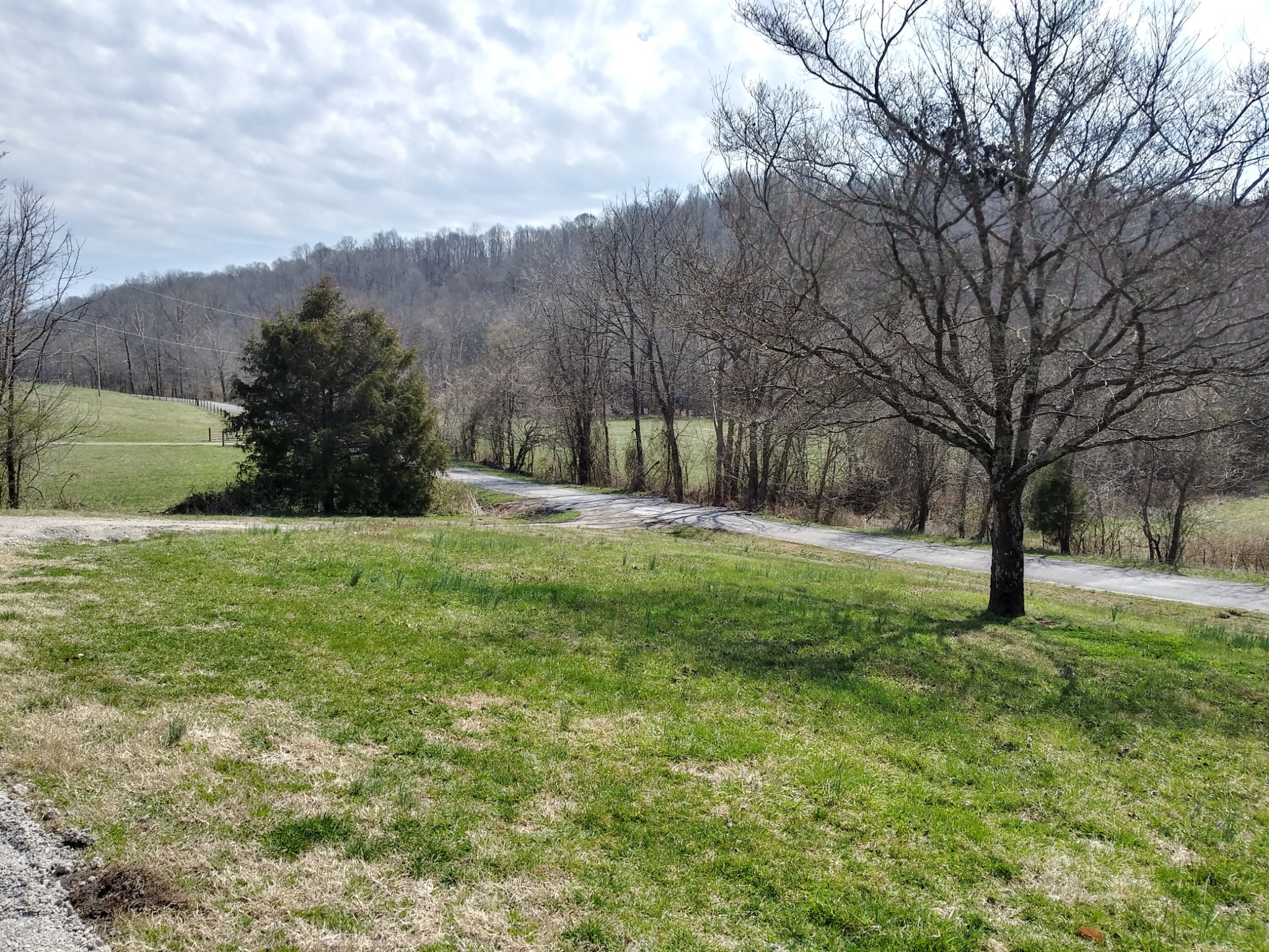 5330 Long Branch Road Tennessee Ridge, TN 37178 - Photo 4 of 57 a view of a yard with large trees