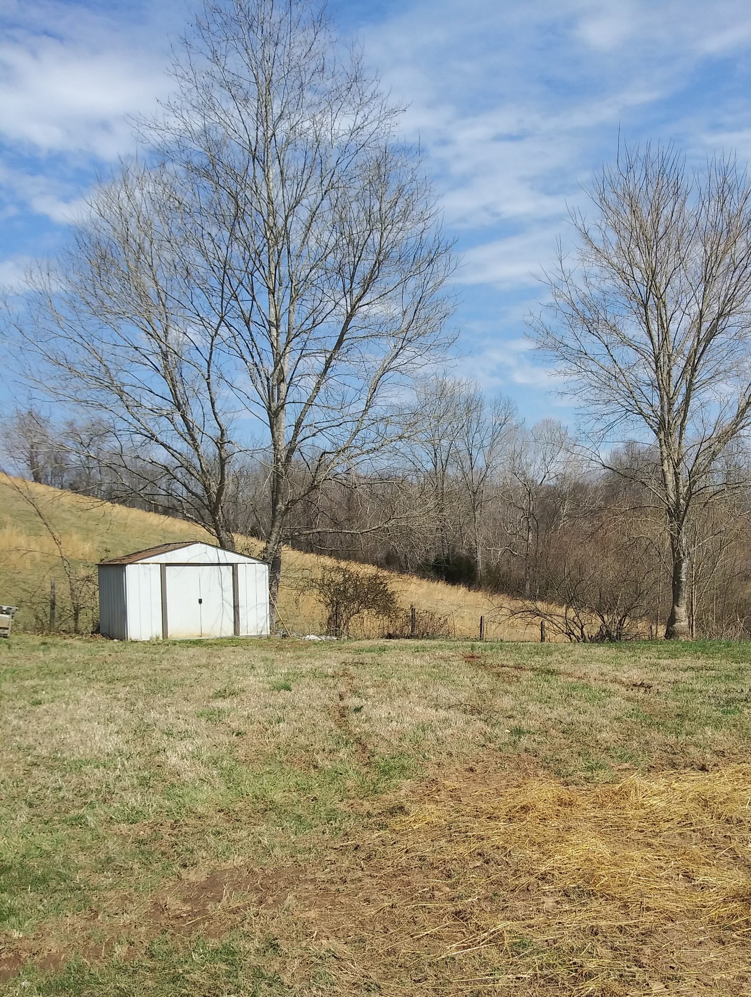 5330 Long Branch Road Tennessee Ridge, TN 37178 - Photo 53 of 57 a view of large yard with large trees