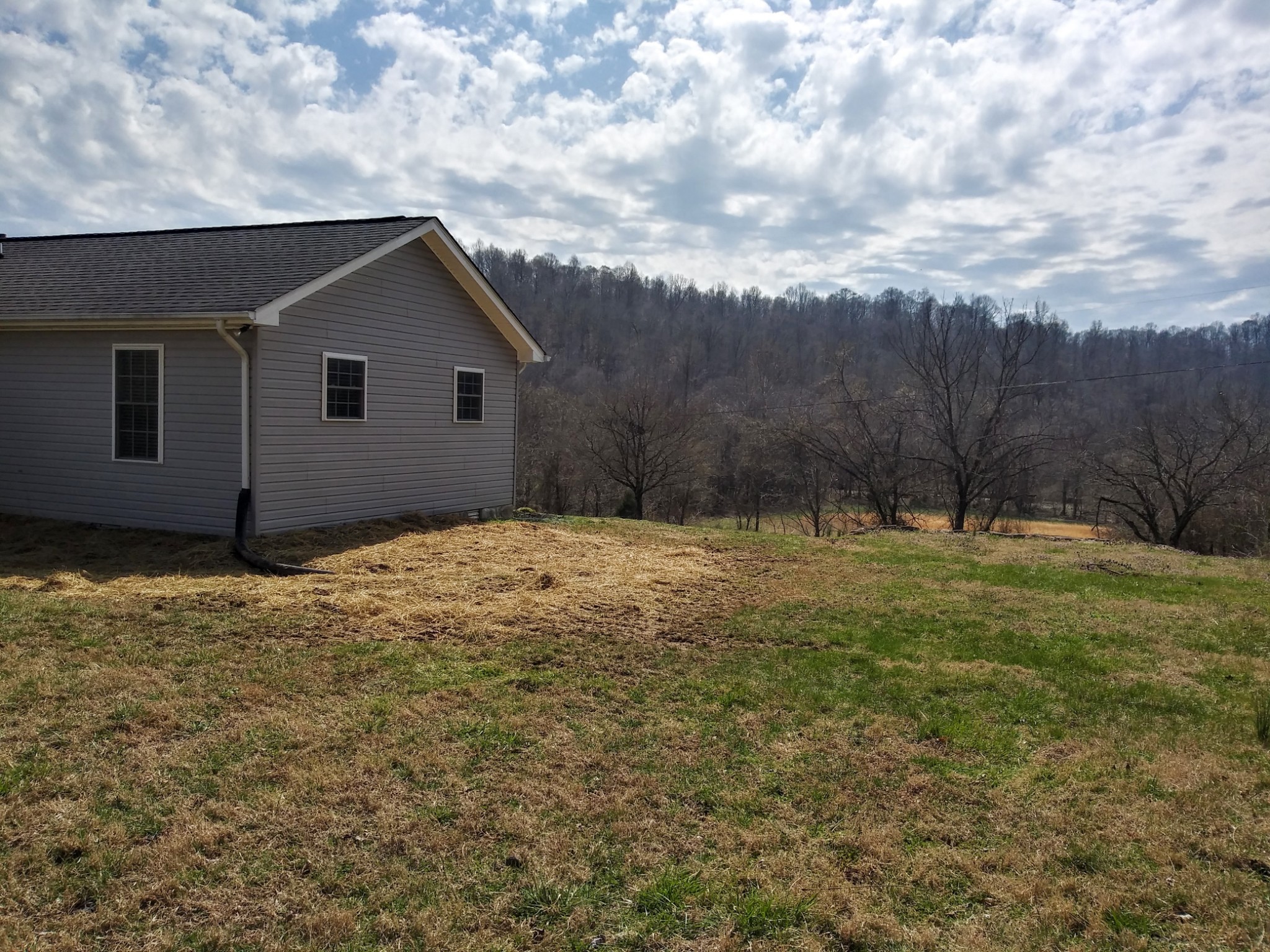 5330 Long Branch Road Tennessee Ridge, TN 37178 - Photo 55 of 57 a house with tall trees in the background