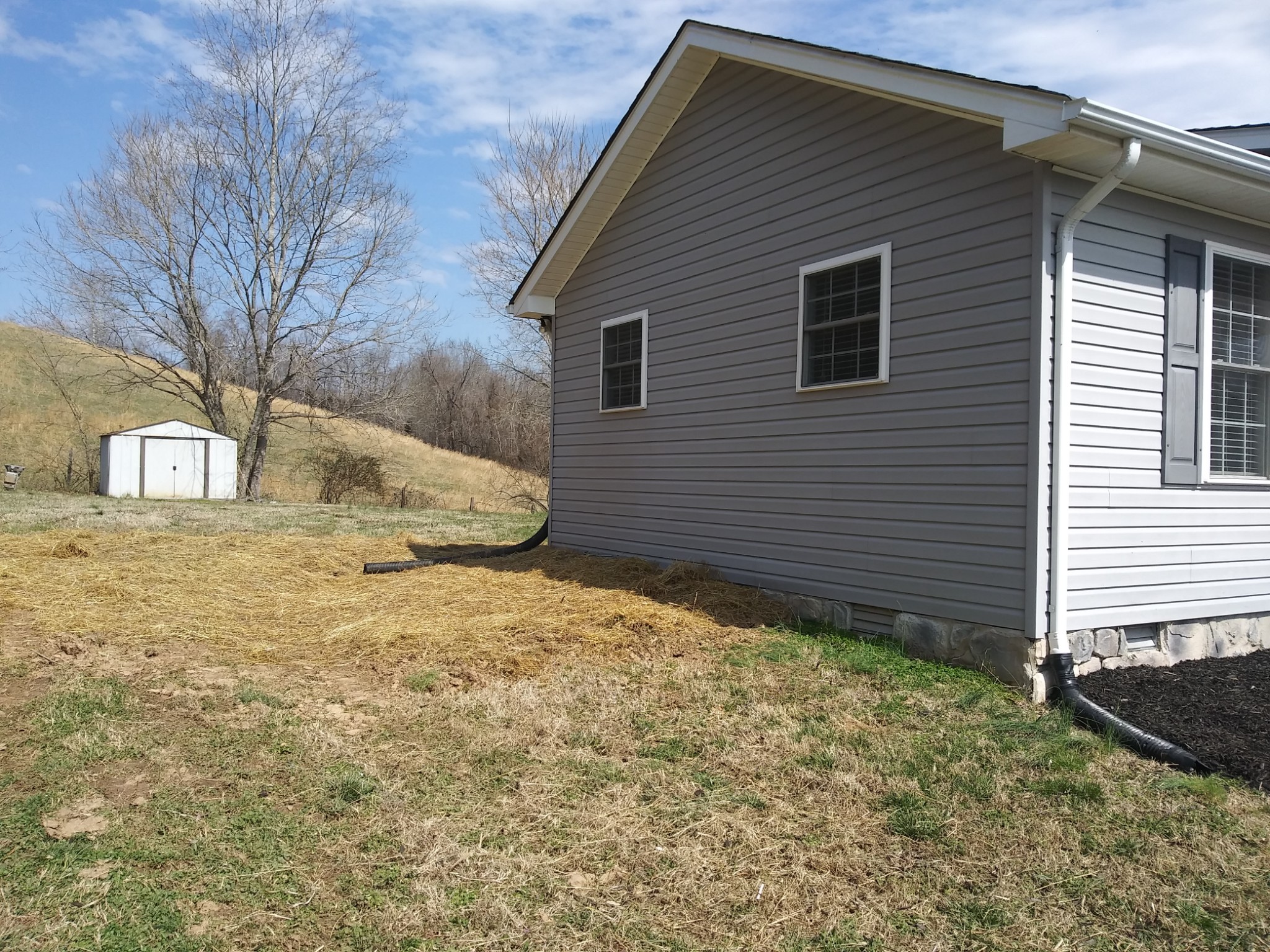 5330 Long Branch Road Tennessee Ridge, TN 37178 - Photo 7 of 57 a backyard of a house with large trees