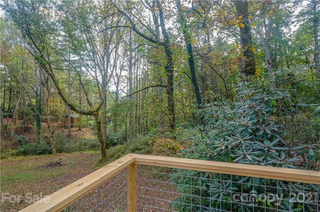 516 South Country Club Road Brevard, NC 28712 - Photo 36 of 37 Gallery Image 36
