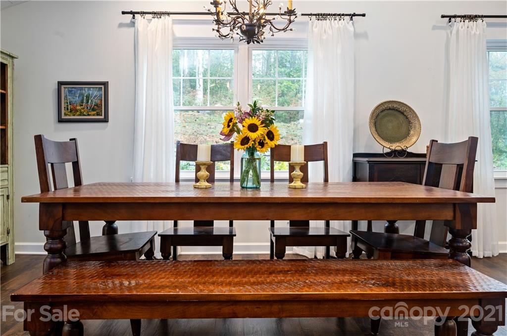 516 South Country Club Road Brevard, NC 28712 - Photo 10 of 37 Gallery Image 10